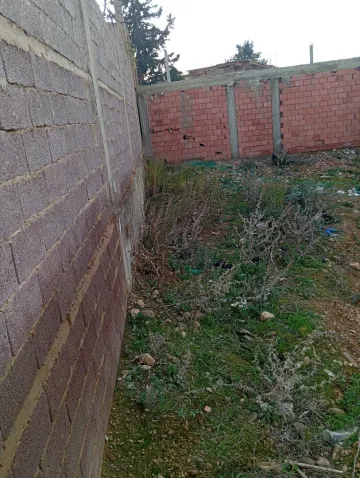 Vente Terrain Chlef Chettia 6