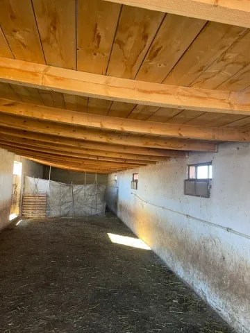Vente Terrain Agricole Djelfa Djelfa 2