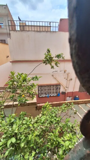 Location Appartement F4 Oran Oran 6
