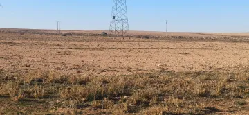 Vente Terrain Agricole Djelfa Ain oussara 6