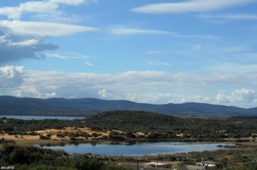 Vente Terrain El Tarf El kala 4