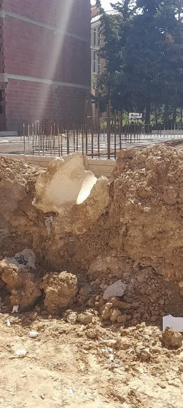 Vente Carcasse Jijel El aouana 8