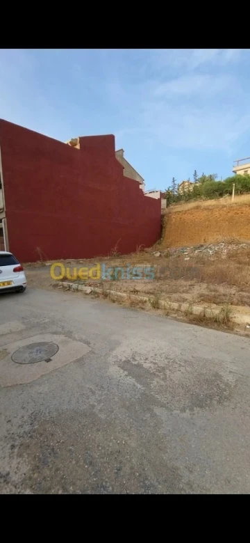Vente Terrain Chlef Chlef