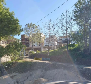Vente Terrain Tipaza Cherchell 9
