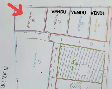 Vente Terrain Tlemcen Mansourah 4