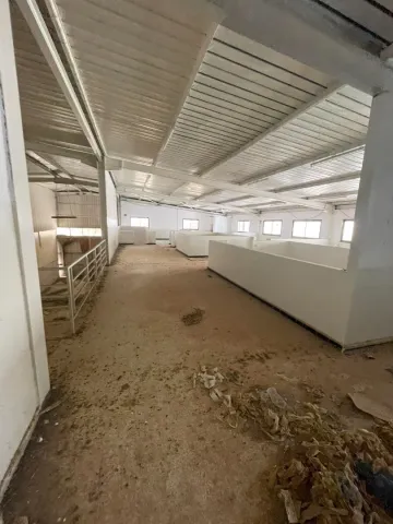 Vente Usine Oran Oued tlelat 9