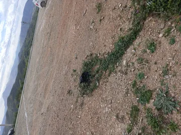 Vente Terrain Boumerdès Tidjelabine 7