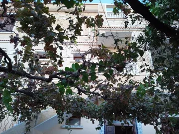 Vente Villa Chlef Tenes 5
