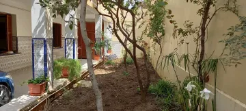 Vente Villa Chlef Tenes 12