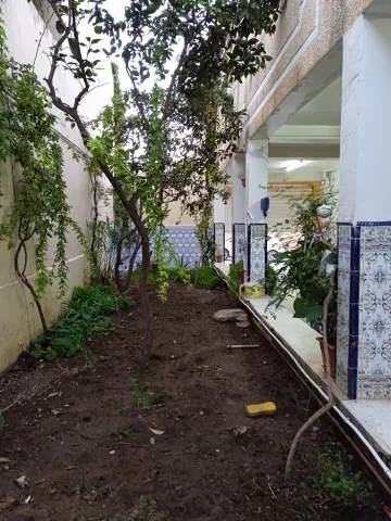 Vente Villa Chlef Tenes 4