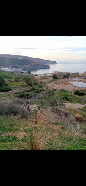 Vente Terrain Tlemcen Dar yaghmouracene 4