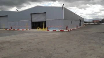 Cherche achat Hangar Alger Oued smar