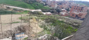 Vente Terrain Alger Douera 16