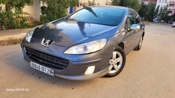 Peugeot 407 2007 407 4