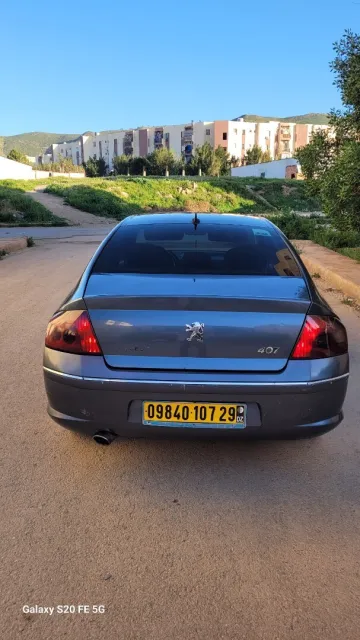Peugeot 407 2007 407 6