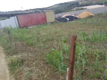 Vente Terrain Boumerdès Larbatache 2