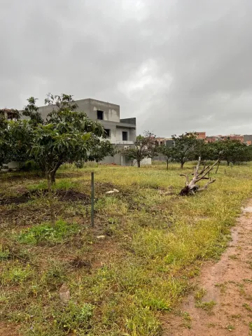Vente Terrain Tipaza Kolea 2