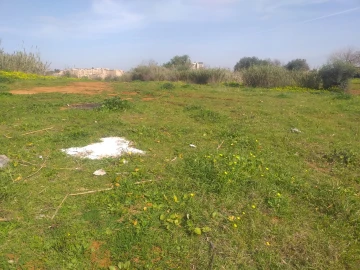 Location Terrain Alger Birkhadem