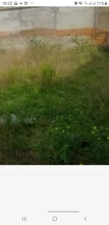 Vente Terrain Alger Souidania 2