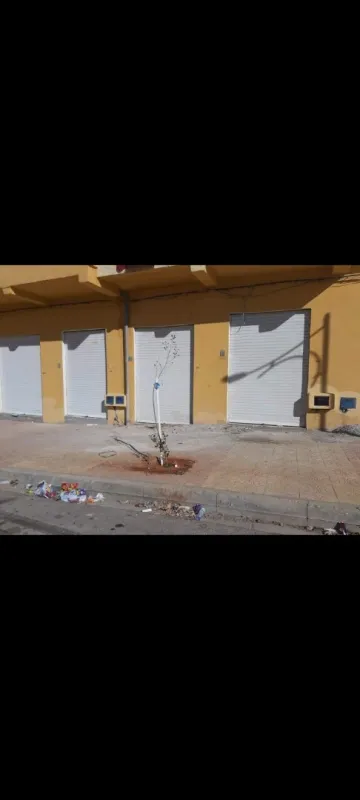 Vente Local Tlemcen Tlemcen 2
