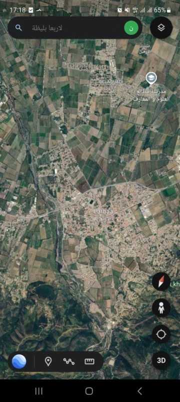 Vente Terrain Blida Larbaa
