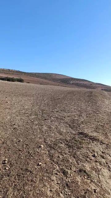 Vente Terrain Agricole Tlemcen Sebaa chioukh 2