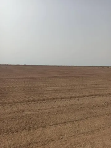 Vente Terrain Agricole Biskra Sidi okba 6