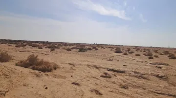Vente Terrain Agricole Biskra Mlili 3