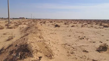 Vente Terrain Agricole Biskra Mlili 11