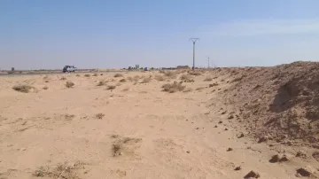 Vente Terrain Agricole Biskra Mlili 5