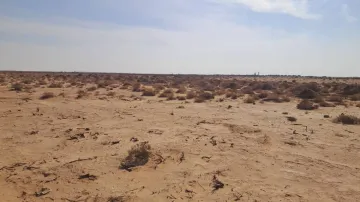 Vente Terrain Agricole Biskra Mlili 2