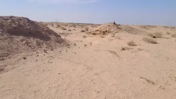 Vente Terrain Agricole Biskra Mlili 6