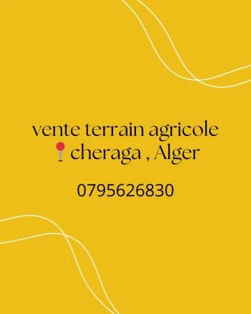 Vente Terrain Agricole Alger Cheraga