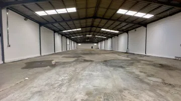 Location Hangar Blida Beni tamou 12