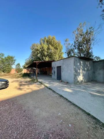 Location Hangar Blida Boufarik 19