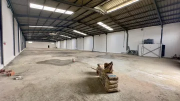 Location Hangar Blida Beni tamou 19