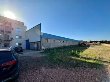 Location Hangar Blida Boufarik 33