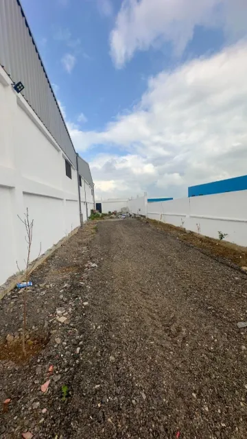 Location Hangar Blida Beni tamou 3