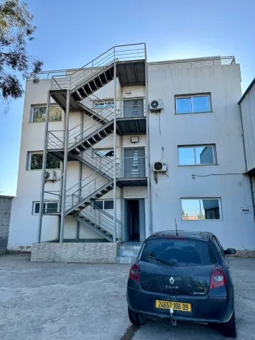 Location Hangar Blida Boufarik 15