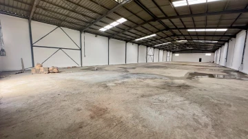 Location Hangar Blida Beni tamou