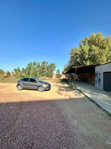 Location Hangar Blida Boufarik 13