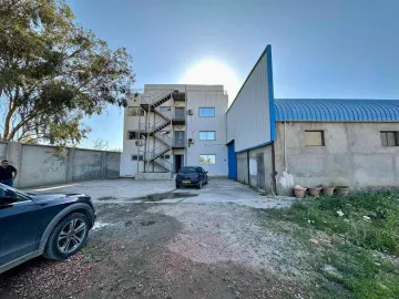 Location Hangar Blida Boufarik 9
