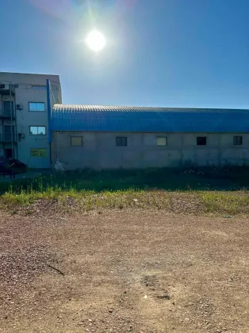 Location Hangar Blida Boufarik 5