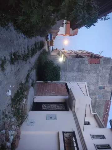 Vente Terrain Blida Meftah 2