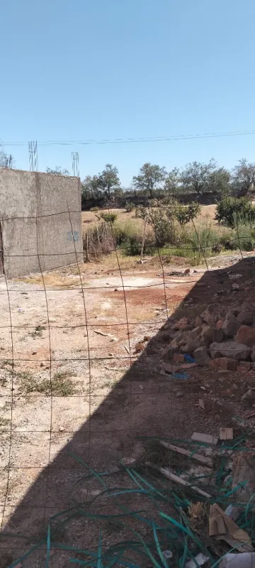 Vente Terrain Tlemcen Tlemcen 10