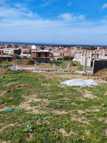 Vente Terrain Blida Ouled selama 5
