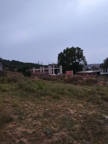 Vente Terrain Blida Ouled selama 13