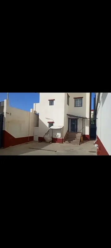 Location Hangar Blida Beni tamou 12