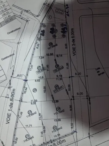 Vente Terrain Tlemcen Nedroma