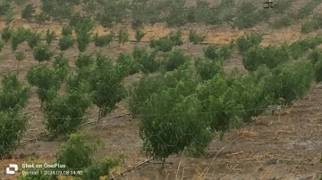 Vente Terrain Aïn Defla Djendel 3